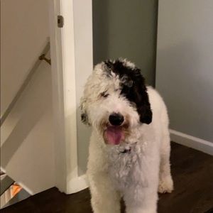 Meet your Posher, Christa